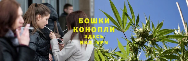 трава Каменногорск