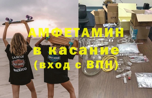 прущие грибы Бородино