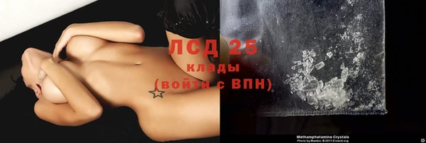 прущие грибы Бородино
