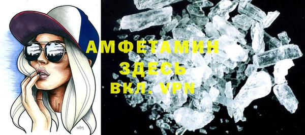 прущие грибы Бородино