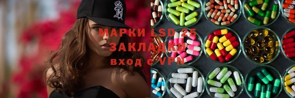 прущие грибы Бородино