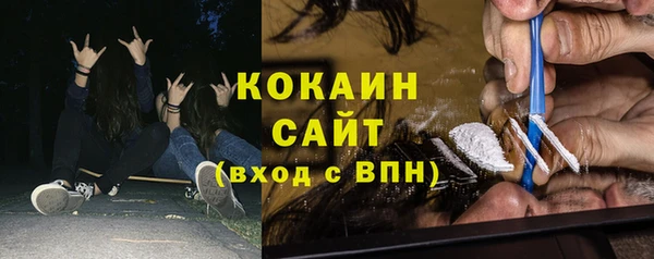 прущие грибы Бородино