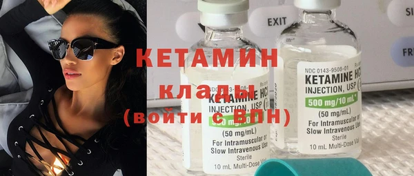 прущие грибы Бородино