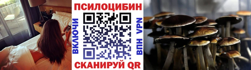 купить наркотики цена  Воркута  Галлюциногенные грибы прущие грибы 